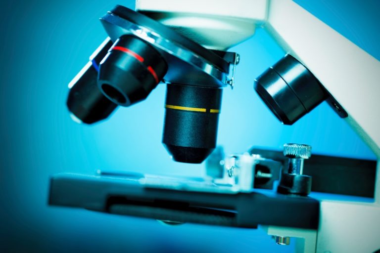 Microscopio