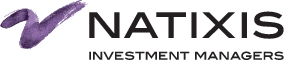 Natixis Investment logo - In gestione