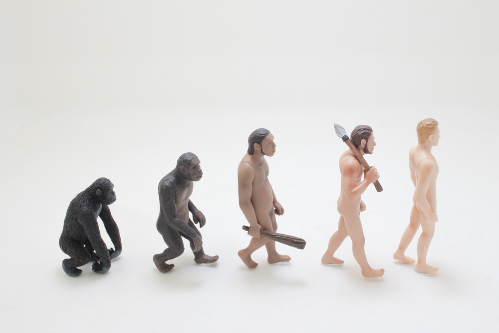 La consulenza evoluta così è, se vi pare